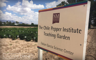 About The Chile Pepper Institute and NuMex Peppers