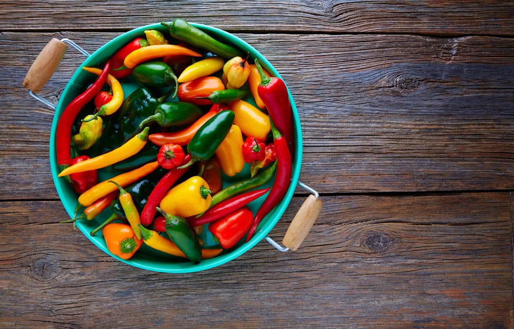 8 Important Clinical Findings about Chile Peppers and Your Health
