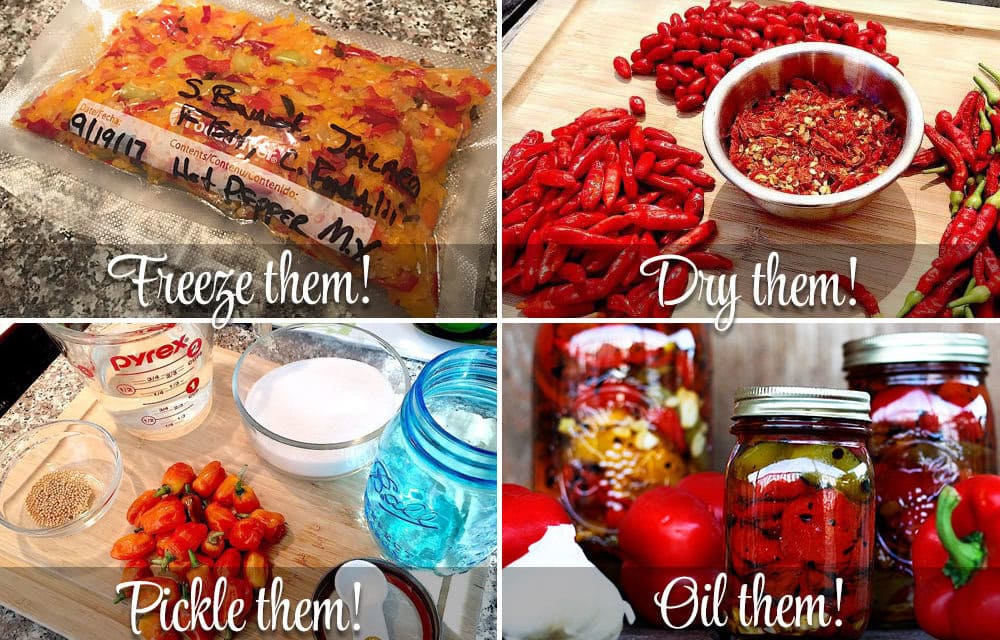 How To Preserve Chile Peppers