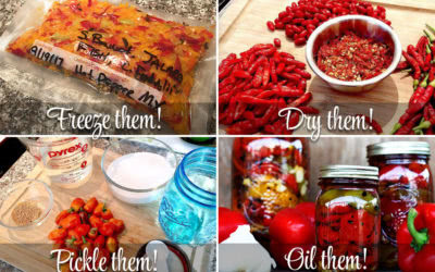 How To Preserve Chile Peppers