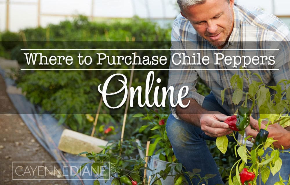 Where to Purchase Fresh or Frozen Chile Peppers Online