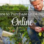 Where to Purchase Fresh or Frozen Chile Peppers Online