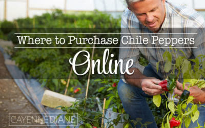 Where to Purchase Fresh or Frozen Chile Peppers Online
