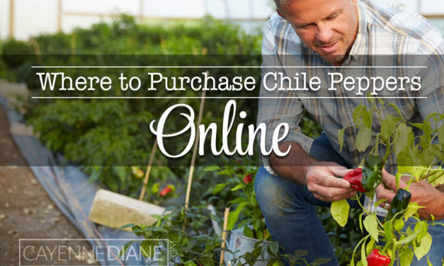 Where to Purchase Fresh or Frozen Chile Peppers Online