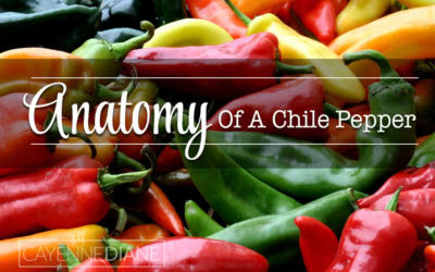 Anatomy of a Chile Pepper