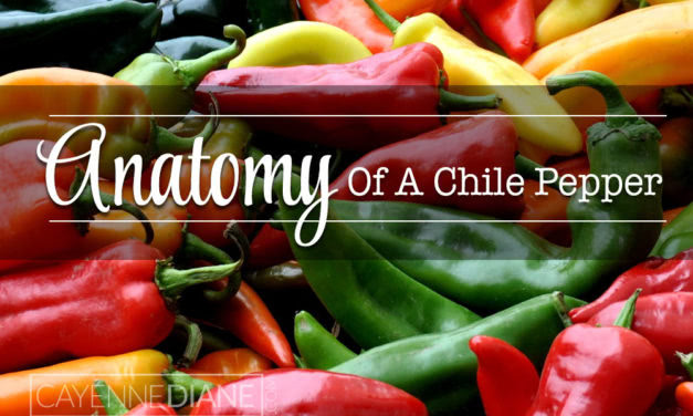 Anatomy of a Chile Pepper