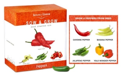 Sow & Grow Seed Starter Kit: Peppers