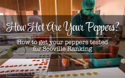 How to Have Your Peppers Tested for an Official Scoville Ranking