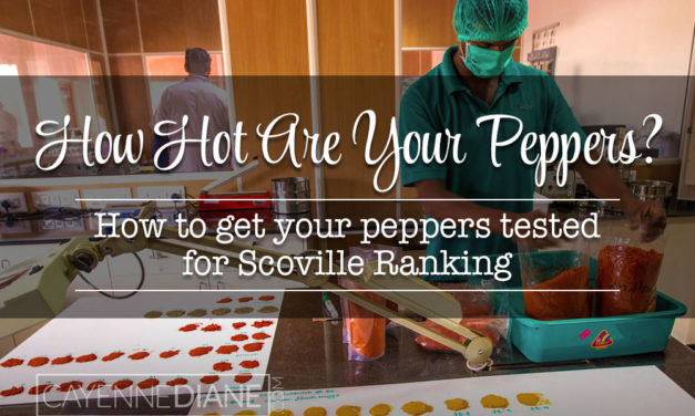 How to Have Your Peppers Tested for an Official Scoville Ranking