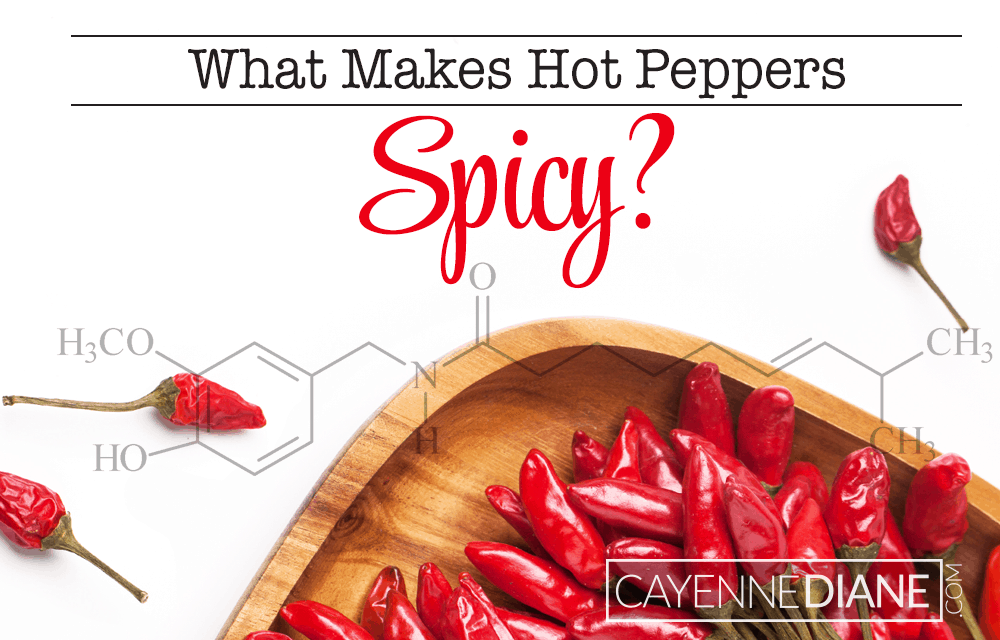 What Makes Hot Peppers Spicy?