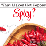 What Makes Hot Peppers Spicy?