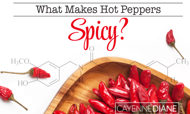 What Makes Hot Peppers Spicy?