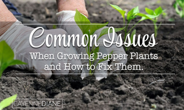 Common Issues When Growing Pepper Plants