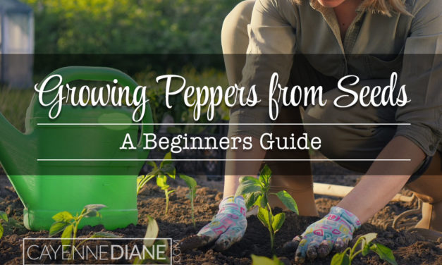 Growing Peppers from Seed for Beginners