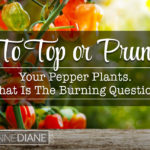 Topping or pruning pepper plants. Is it necessary?