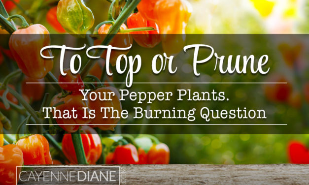 Topping or pruning pepper plants. Is it necessary?