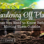 Hardening Off Plants, What it is and Why You Shouldn’t Skip It