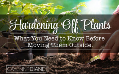 Hardening Off Plants, What it is and Why You Shouldn’t Skip It