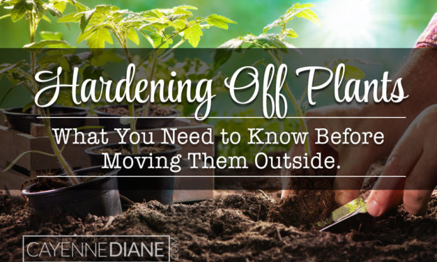 Hardening Off Plants, What it is and Why You Shouldn’t Skip It