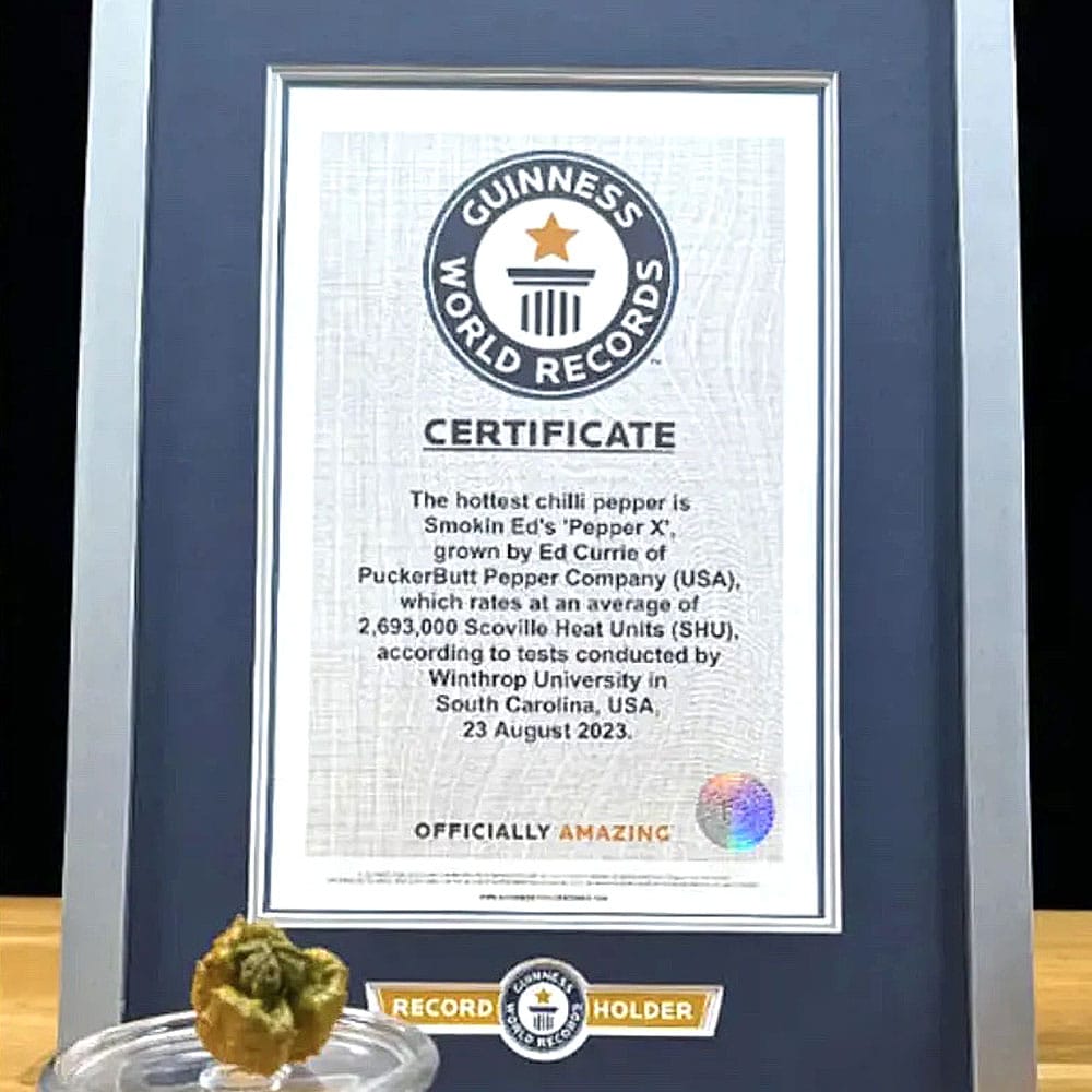 Le Guinness World Records désigne le Pepper X comme le nouveau