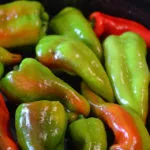 Beaver Dam Pepper