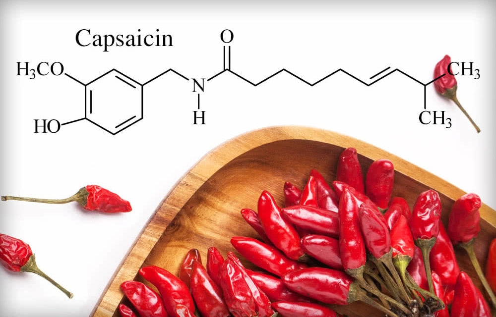 What are Capsaicinoids and Capsaicin?