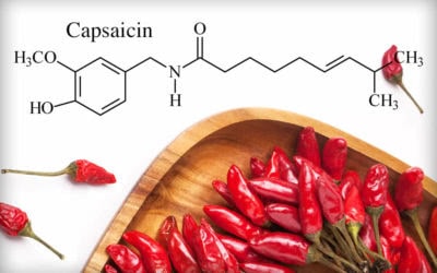 What are Capsaicinoids and Capsaicin?