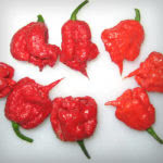 Carolina Reaper