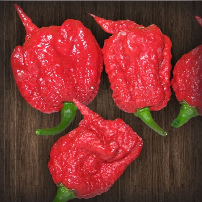 Top 13 Spiciest Peppers in the World, Ranked from Hot to Hottest