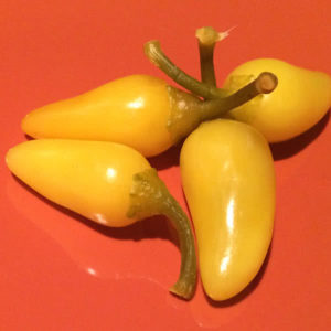 Cascabella Peppers