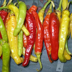 Pepper Identification Chart