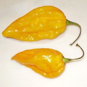 Fatalii Peppers