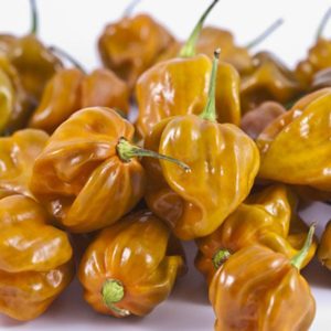 Habanero Mustard Peppers