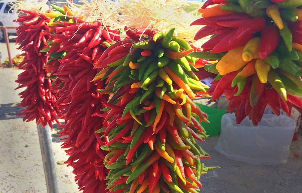 All About The Hatch Chile Festival