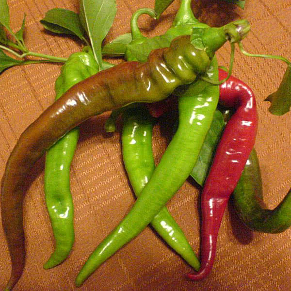 Italian discount hot pepper