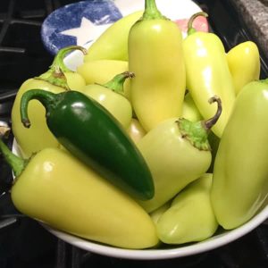 Jaloro Pepper also known as Yellow Jalapeño