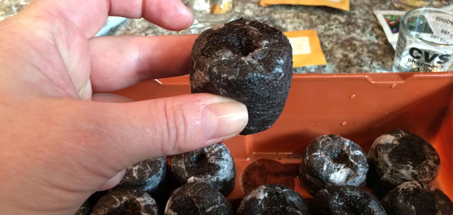 Jiffy Peat Pellets