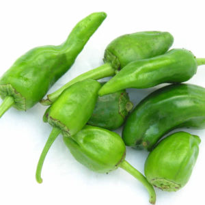 Padron Pepper