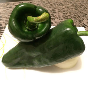 Poblano Pepper