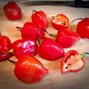 Red Savina Pepper