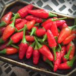 Thai Sun hot pepper